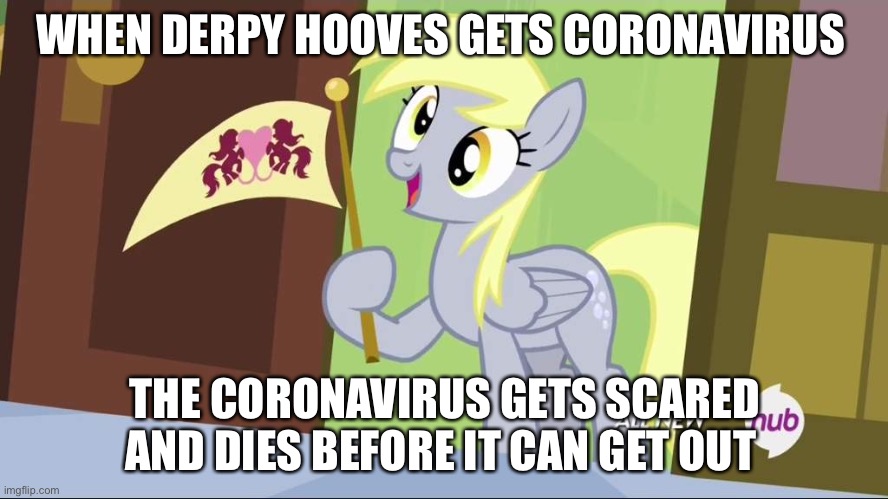 Derpy Hooves facts | WHEN DERPY HOOVES GETS CORONAVIRUS; THE CORONAVIRUS GETS SCARED AND DIES BEFORE IT CAN GET OUT | image tagged in derpy hooves facts | made w/ Imgflip meme maker