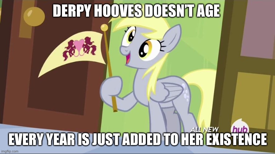 Derpy Hooves facts | DERPY HOOVES DOESN’T AGE; EVERY YEAR IS JUST ADDED TO HER EXISTENCE | image tagged in derpy hooves facts | made w/ Imgflip meme maker