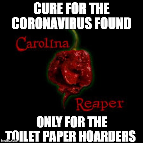coronavirus cure | CURE FOR THE CORONAVIRUS FOUND; ONLY FOR THE TOILET PAPER HOARDERS | image tagged in toilet paper,hoarders,toilet paper hoarders,corolina reaper,coronavirus,covid-19 | made w/ Imgflip meme maker