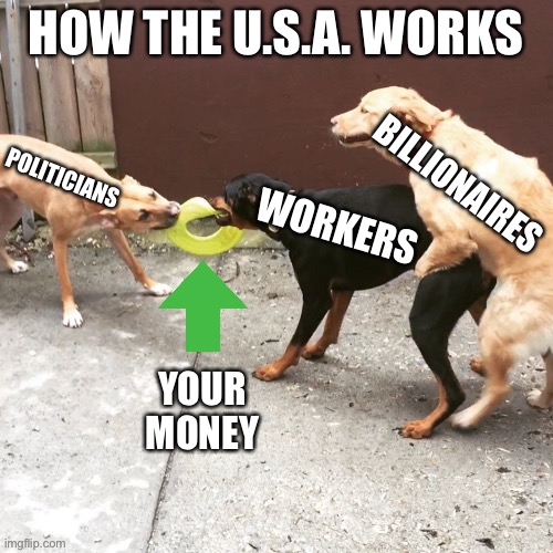 One Sided Dog Fight | HOW THE U.S.A. WORKS; POLITICIANS; BILLIONAIRES; WORKERS; YOUR MONEY | image tagged in one sided dog fight | made w/ Imgflip meme maker