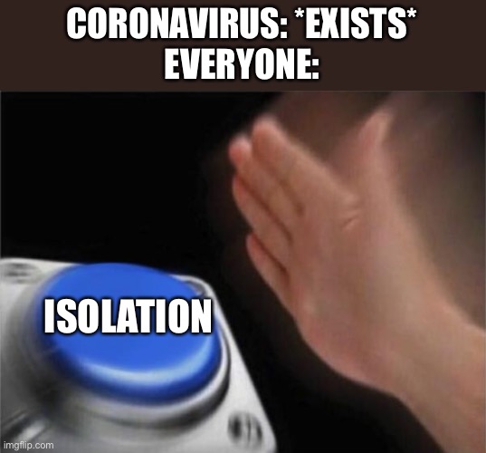 Blank Nut Button | CORONAVIRUS: *EXISTS*
EVERYONE:; ISOLATION | image tagged in memes,blank nut button | made w/ Imgflip meme maker