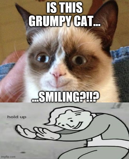 Grumpy Cat Happy | IS THIS GRUMPY CAT... …SMILING?!!? | image tagged in memes,grumpy cat happy,grumpy cat | made w/ Imgflip meme maker