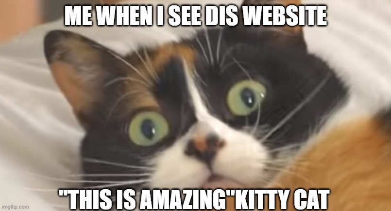 me when i see | ME WHEN I SEE DIS WEBSITE; "THIS IS AMAZING"KITTY CAT | image tagged in me when i see | made w/ Imgflip meme maker
