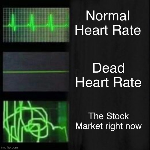 Leave it blank, please | Normal Heart Rate; Dead Heart Rate; The Stock Market right now | image tagged in leave it blank please | made w/ Imgflip meme maker