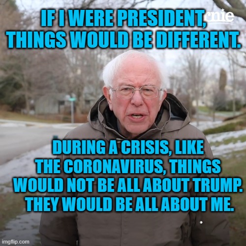 Bernie Sanders No-text | IF I WERE PRESIDENT, THINGS WOULD BE DIFFERENT. DURING A CRISIS, LIKE THE CORONAVIRUS, THINGS WOULD NOT BE ALL ABOUT TRUMP.  THEY WOULD BE ALL ABOUT ME. | image tagged in bernie sanders no-text | made w/ Imgflip meme maker