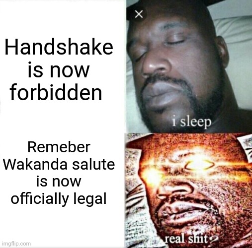 Sleeping Shaq | Handshake is now forbidden; Remeber Wakanda salute is now officially legal | image tagged in memes,sleeping shaq | made w/ Imgflip meme maker