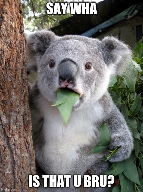 Surprised Koala | SAY WHA; IS THAT U BRU? | image tagged in memes,surprised koala | made w/ Imgflip meme maker