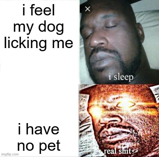 Sleeping Shaq Meme | i feel my dog licking me; i have no pet | image tagged in memes,sleeping shaq | made w/ Imgflip meme maker