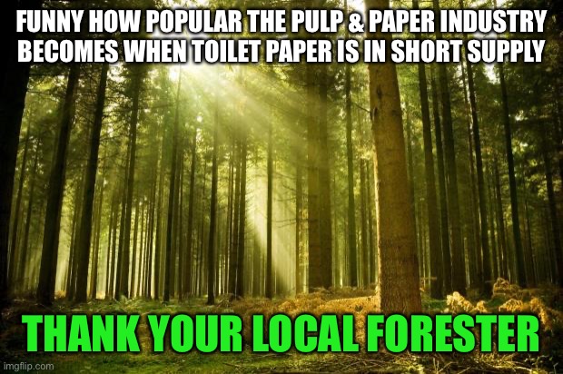 sunlit forest | FUNNY HOW POPULAR THE PULP & PAPER INDUSTRY BECOMES WHEN TOILET PAPER IS IN SHORT SUPPLY; THANK YOUR LOCAL FORESTER | image tagged in sunlit forest | made w/ Imgflip meme maker