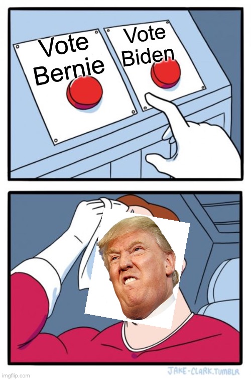 Two Buttons | Vote Biden; Vote Bernie | image tagged in memes,two buttons | made w/ Imgflip meme maker