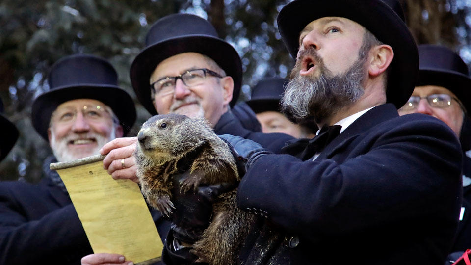 groundhog day announcement Blank Meme Template