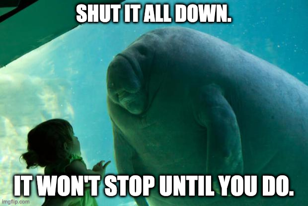 Overlord Manatee | SHUT IT ALL DOWN. IT WON'T STOP UNTIL YOU DO. | image tagged in overlord manatee | made w/ Imgflip meme maker