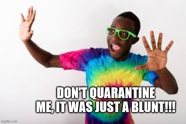 Stop in the name of common sense!! | DON'T QUARANTINE ME, IT WAS JUST A BLUNT!!! | image tagged in coronavirus,covid-19,stoner humor | made w/ Imgflip meme maker