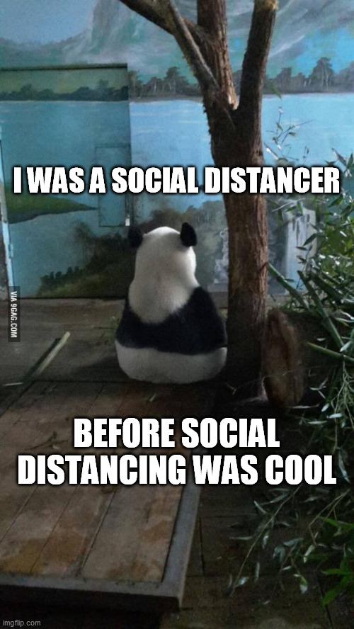 Antisocial Panda | I WAS A SOCIAL DISTANCER; BEFORE SOCIAL DISTANCING WAS COOL | image tagged in antisocial panda | made w/ Imgflip meme maker