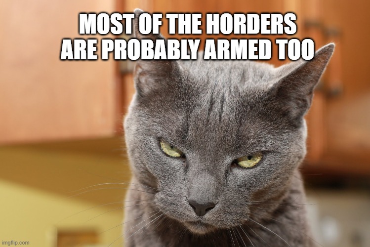 Try Me | MOST OF THE HORDERS ARE PROBABLY ARMED TOO | image tagged in try me | made w/ Imgflip meme maker