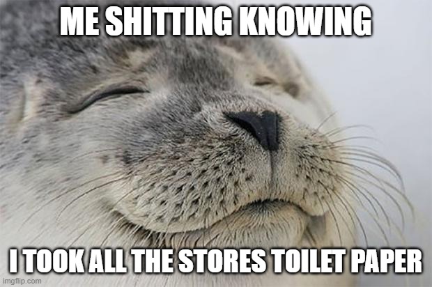 Satisfied Seal | ME SHITTING KNOWING; I TOOK ALL THE STORES TOILET PAPER | image tagged in memes,satisfied seal | made w/ Imgflip meme maker