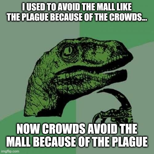 Philosoraptor Meme | I USED TO AVOID THE MALL LIKE THE PLAGUE BECAUSE OF THE CROWDS... NOW CROWDS AVOID THE MALL BECAUSE OF THE PLAGUE | image tagged in memes,philosoraptor | made w/ Imgflip meme maker