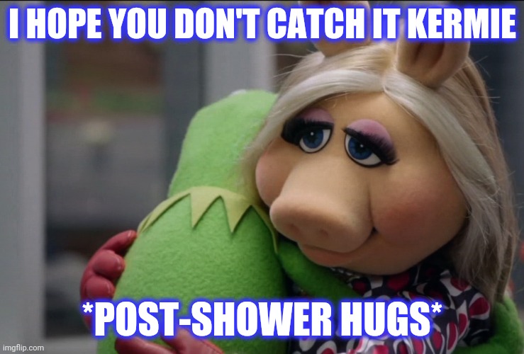 I HOPE YOU DON'T CATCH IT KERMIE *POST-SHOWER HUGS* | made w/ Imgflip meme maker