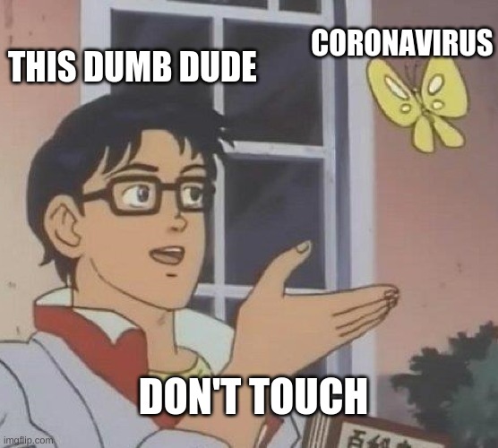 Is This A Pigeon Meme | CORONAVIRUS; THIS DUMB DUDE; DON'T TOUCH | image tagged in memes,is this a pigeon | made w/ Imgflip meme maker