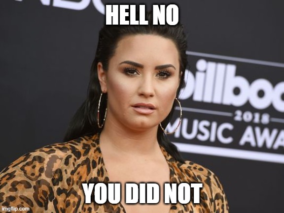 Demi lovato | HELL NO; YOU DID NOT | image tagged in demi lovato | made w/ Imgflip meme maker