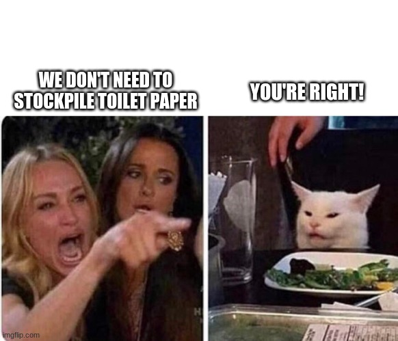 Lady screams at cat | YOU'RE RIGHT! WE DON'T NEED TO STOCKPILE TOILET PAPER | image tagged in lady screams at cat | made w/ Imgflip meme maker