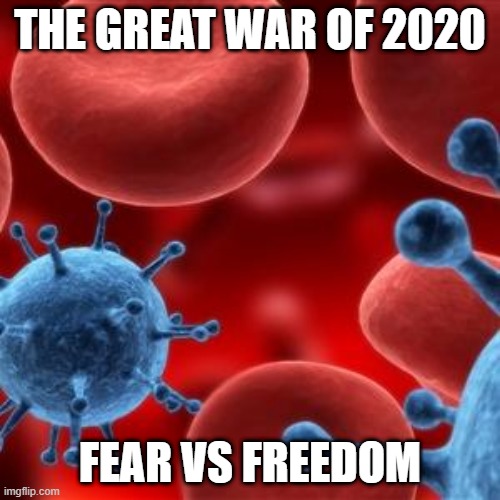 virus  | THE GREAT WAR OF 2020; FEAR VS FREEDOM | image tagged in virus | made w/ Imgflip meme maker