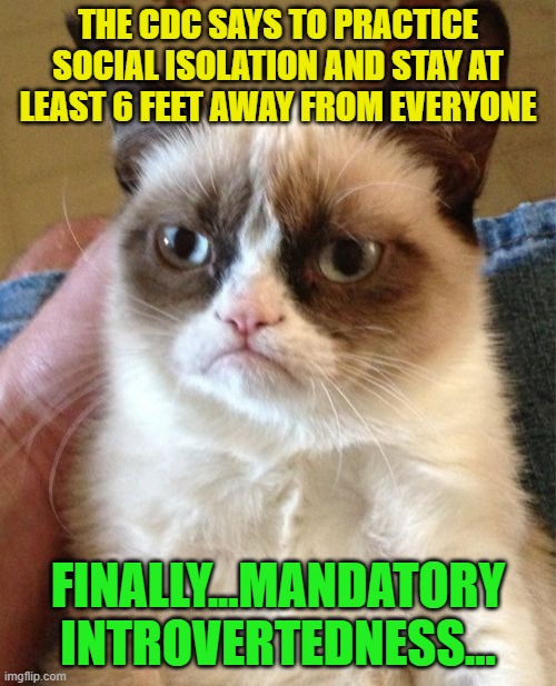 Victory for introverts everywhere... | THE CDC SAYS TO PRACTICE SOCIAL ISOLATION AND STAY AT LEAST 6 FEET AWAY FROM EVERYONE; FINALLY...MANDATORY INTROVERTEDNESS... | image tagged in memes,grumpy cat,introvert | made w/ Imgflip meme maker