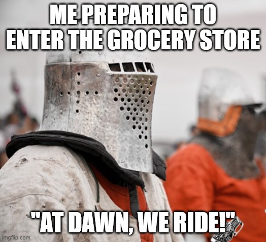 Knight | ME PREPARING TO ENTER THE GROCERY STORE; "AT DAWN, WE RIDE!" | image tagged in knight | made w/ Imgflip meme maker