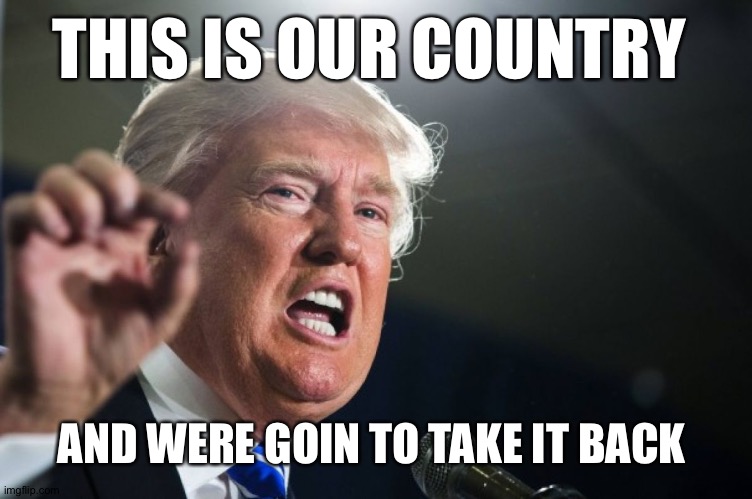donald trump | THIS IS OUR COUNTRY; AND WERE GOIN TO TAKE IT BACK | image tagged in donald trump | made w/ Imgflip meme maker
