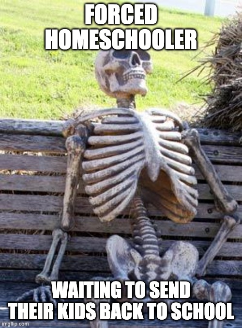 Waiting Skeleton Meme | FORCED HOMESCHOOLER; WAITING TO SEND THEIR KIDS BACK TO SCHOOL | image tagged in memes,waiting skeleton | made w/ Imgflip meme maker