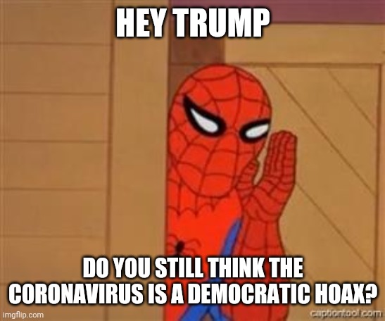 psst spiderman | HEY TRUMP; DO YOU STILL THINK THE CORONAVIRUS IS A DEMOCRATIC HOAX? | image tagged in psst spiderman | made w/ Imgflip meme maker