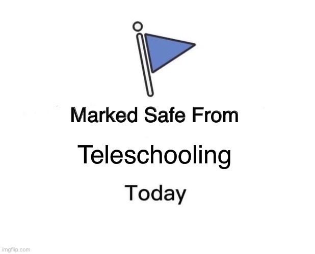 Marked Safe From Meme | Teleschooling | image tagged in memes,marked safe from | made w/ Imgflip meme maker