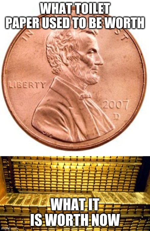  WHAT TOILET PAPER USED TO BE WORTH; WHAT IT IS WORTH NOW | image tagged in gold bars,penny | made w/ Imgflip meme maker