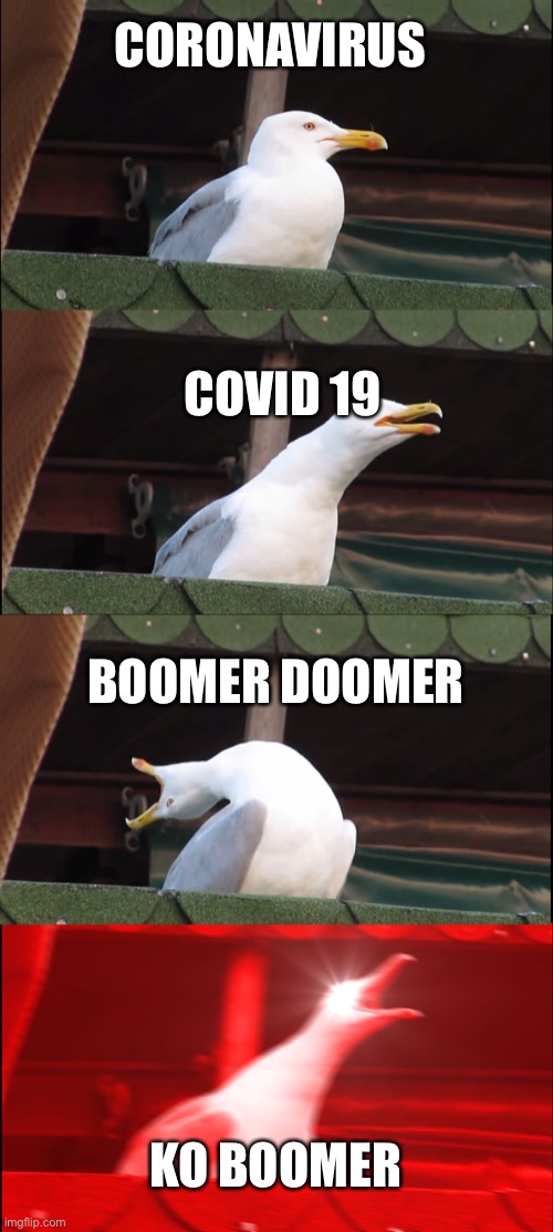 Inhaling Seagull | CORONAVIRUS; COVID 19; BOOMER DOOMER; KO BOOMER | image tagged in memes,inhaling seagull | made w/ Imgflip meme maker