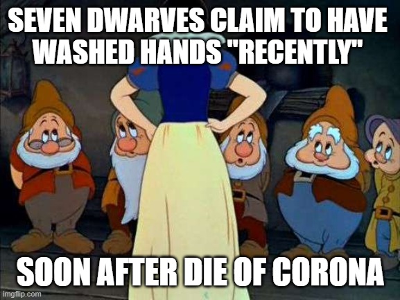 SEVEN DWARVES CLAIM TO HAVE
WASHED HANDS "RECENTLY"; SOON AFTER DIE OF CORONA | image tagged in snow white,seven dwarves,corona,corona virus,death star | made w/ Imgflip meme maker