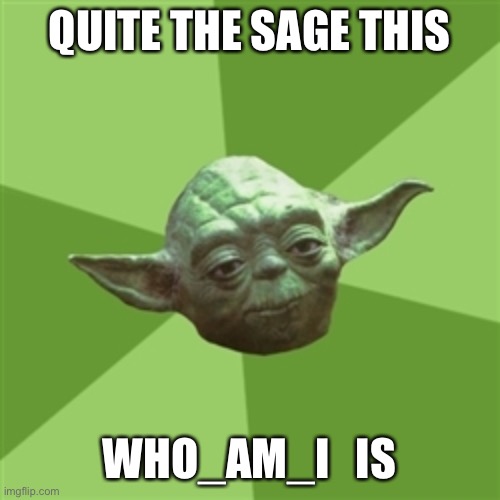 Advice Yoda Meme | QUITE THE SAGE THIS WHO_AM_I   IS | image tagged in memes,advice yoda | made w/ Imgflip meme maker