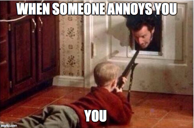 Home Alone | WHEN SOMEONE ANNOYS YOU; YOU | image tagged in home alone | made w/ Imgflip meme maker