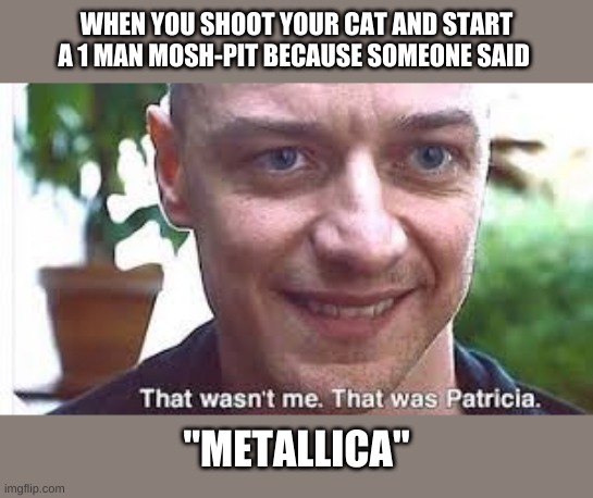 glass | WHEN YOU SHOOT YOUR CAT AND START A 1 MAN MOSH-PIT BECAUSE SOMEONE SAID; "METALLICA" | image tagged in metallica | made w/ Imgflip meme maker