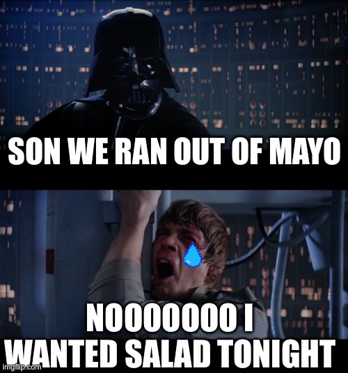 Star Wars No Meme | SON WE RAN OUT OF MAYO; NOOOOOOO I WANTED SALAD TONIGHT | image tagged in memes,star wars no | made w/ Imgflip meme maker