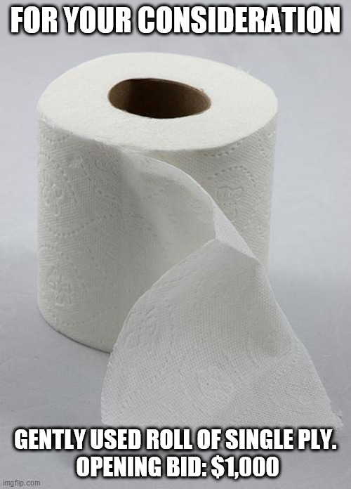 toilet paper | FOR YOUR CONSIDERATION; GENTLY USED ROLL OF SINGLE PLY.
 OPENING BID: $1,000 | image tagged in toilet paper | made w/ Imgflip meme maker