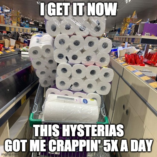 I GET IT NOW; THIS HYSTERIAS GOT ME CRAPPIN' 5X A DAY | image tagged in coronavirus,covid-19,toilet paper,no more toilet paper | made w/ Imgflip meme maker