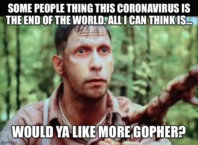 Things aren’t so bad | SOME PEOPLE THING THIS CORONAVIRUS IS THE END OF THE WORLD. ALL I CAN THINK IS... WOULD YA LIKE MORE GOPHER? | image tagged in coronavirus,end of the world | made w/ Imgflip meme maker