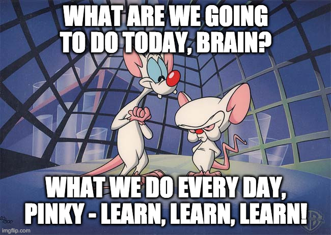 pinky and the brain | WHAT ARE WE GOING TO DO TODAY, BRAIN? WHAT WE DO EVERY DAY, PINKY - LEARN, LEARN, LEARN! | image tagged in pinky and the brain | made w/ Imgflip meme maker