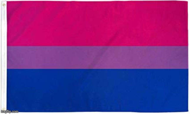 Bisexual Flag | image tagged in bisexual flag | made w/ Imgflip meme maker