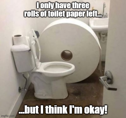  I only have three rolls of toilet paper left... ...but I think I'm okay! | image tagged in toilet paper | made w/ Imgflip meme maker