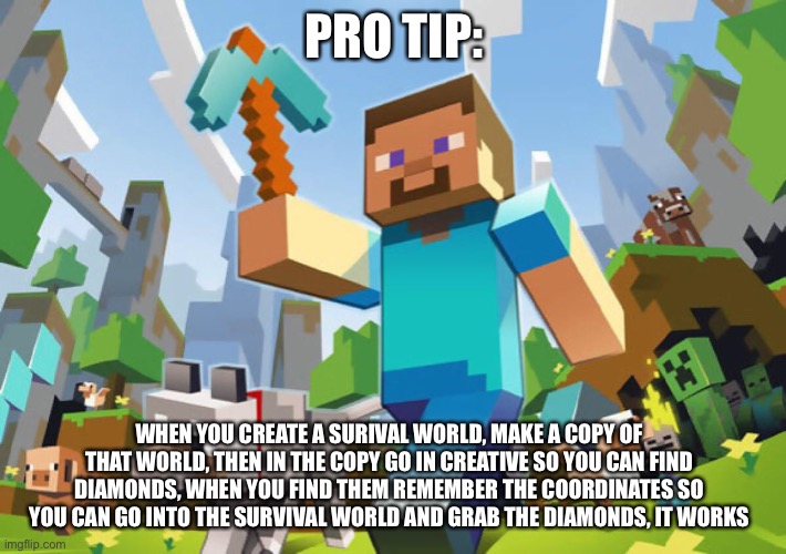 Minecraft  | PRO TIP:; WHEN YOU CREATE A SURIVAL WORLD, MAKE A COPY OF THAT WORLD, THEN IN THE COPY GO IN CREATIVE SO YOU CAN FIND DIAMONDS, WHEN YOU FIND THEM REMEMBER THE COORDINATES SO YOU CAN GO INTO THE SURVIVAL WORLD AND GRAB THE DIAMONDS, IT WORKS | image tagged in minecraft | made w/ Imgflip meme maker