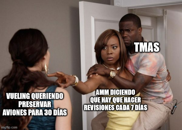 Protected Kevin Hart | TMAS; VUELING QUERIENDO PRESERVAR AVIONES PARA 30 DÍAS; AMM DICIENDO QUE HAY QUE HACER REVISIONES CADA 7 DÍAS | image tagged in protected kevin hart | made w/ Imgflip meme maker