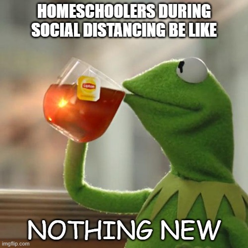 But That's None Of My Business | HOMESCHOOLERS DURING
SOCIAL DISTANCING BE LIKE; NOTHING NEW | image tagged in memes,but thats none of my business,kermit the frog | made w/ Imgflip meme maker