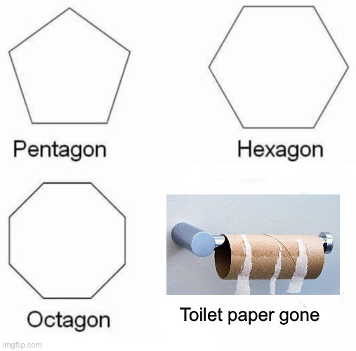Looks like some ruff shapes | Toilet paper gone | image tagged in memes,pentagon hexagon octagon | made w/ Imgflip meme maker
