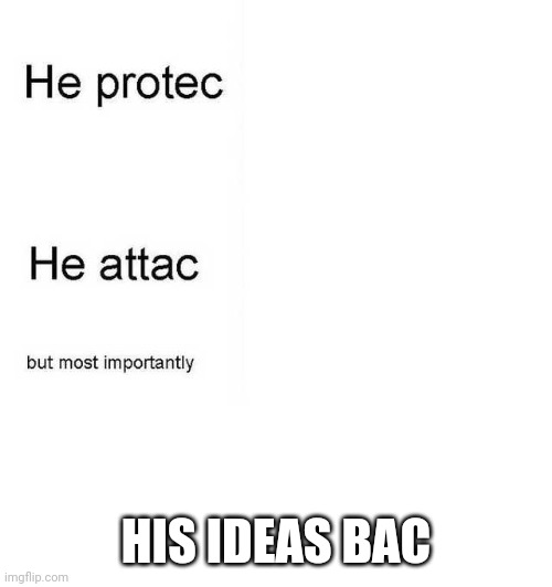 He protec he attac but most importantly | HIS IDEAS BAC | image tagged in he protec he attac but most importantly | made w/ Imgflip meme maker